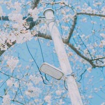 轮回天下游戏手机版下载