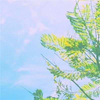心动小屋正式版下载